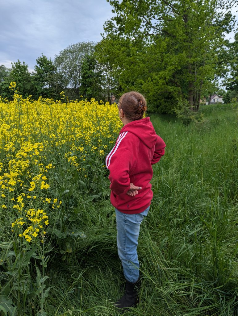Raps zwei Meter aufgewachsen