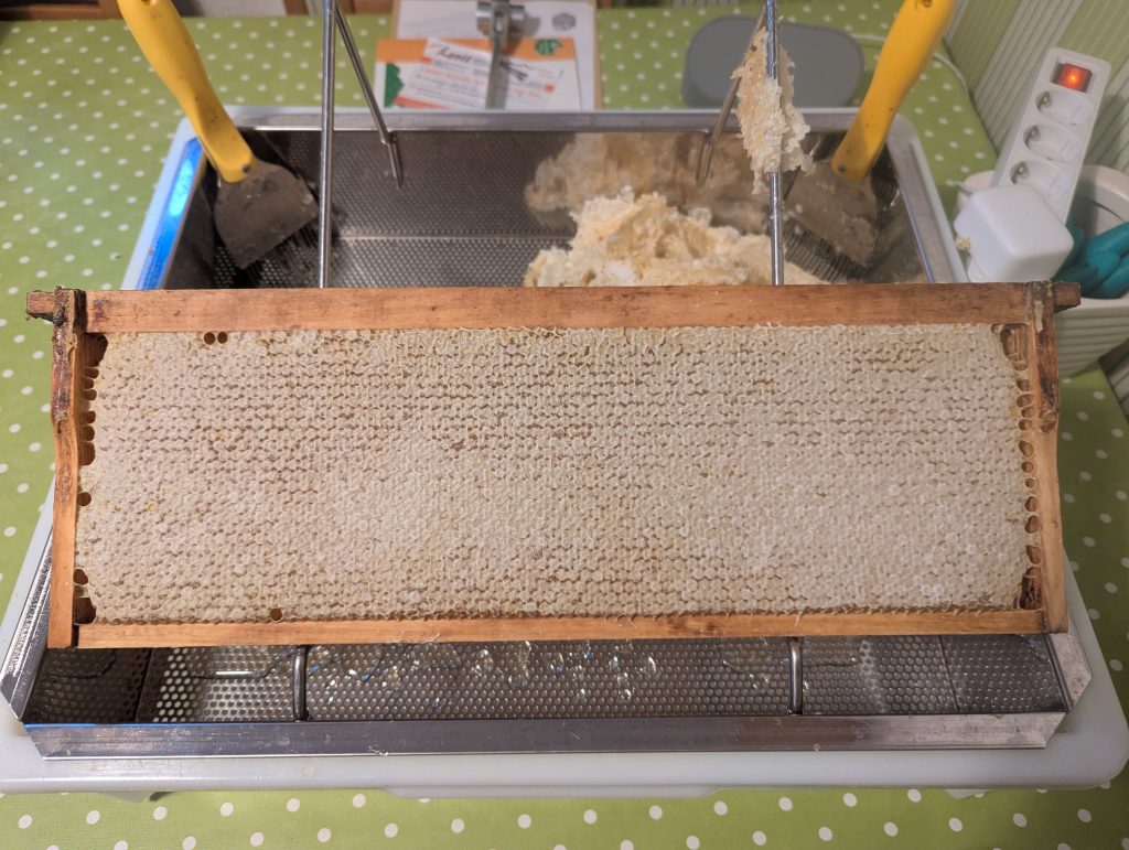 Honig voll verdeckelt, das verspricht reifen Honig, aber auch viel Arbeit beim Entdeckeln