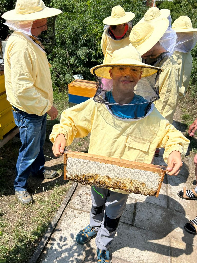 Langer Tag der Stadtnatur am 16.06.2025 in der Gartenarbeitsschule Treptow/Köpenick
